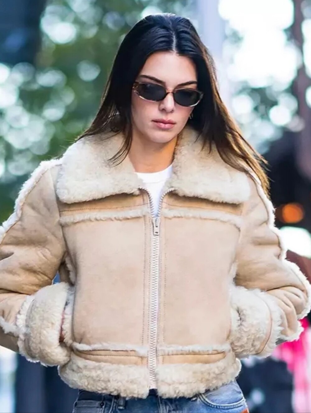 Abercrombie & Fitch Cropped Vegan Suede Shearling Jacket.